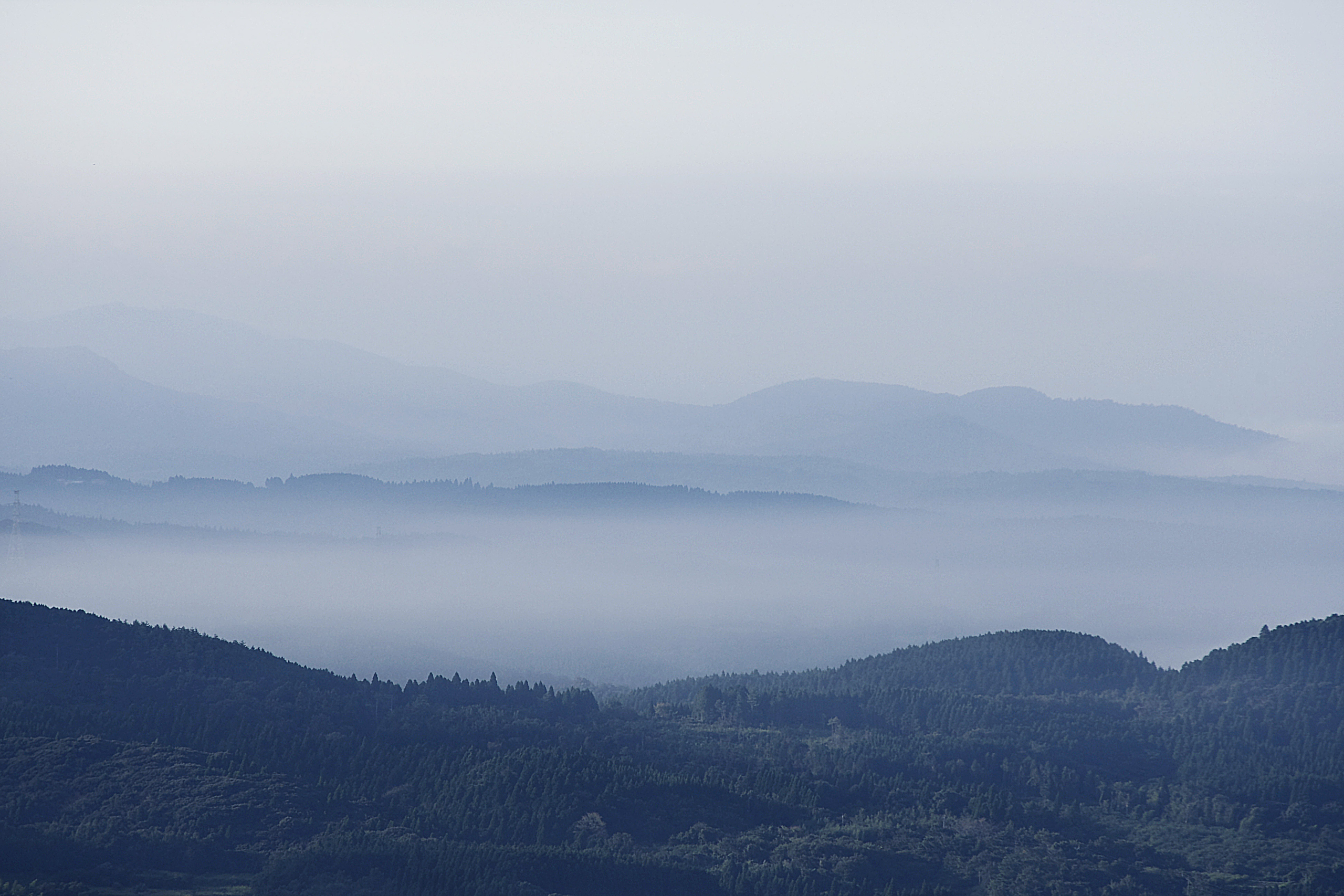 鹿児島県・霧島市の唐津屋
